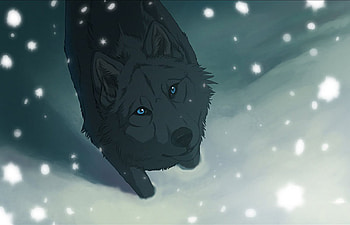 Wolf's Rain, Wolf, Anime HD wallpaper