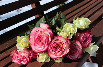 Flowers, Roses, Bouquet, Buds, Bench HD wallpaper