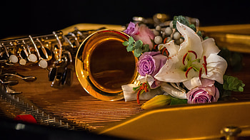 Saxa and Roses, music, roses, graphy, saxa HD wallpaper