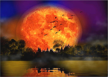 Unica, luna, color, fantasia, vista HD wallpaper