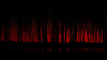 Scary Dark Forest - Red And Black Background Forest - - , Red Jungle HD wallpaper