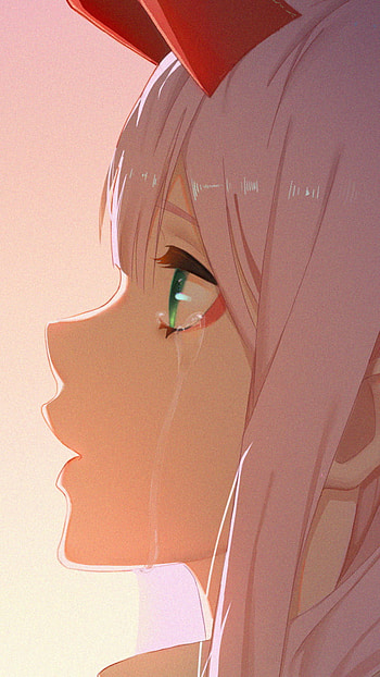 Zero Two — Darling in the FranXX Sunset, Zero Two (Darling in the FranXX), Anime, Darling in the FranXX HD phone wallpaper