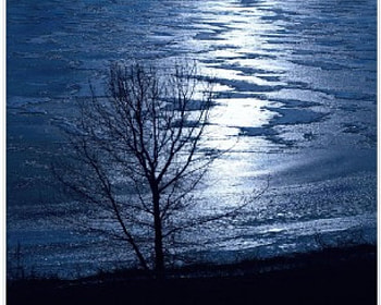 Lone Tree Silhouette, lone, silhouette, tree HD wallpaper
