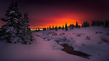 Early morning by the stream, river, landscape, snow, sunrise, trees HD wallpaper