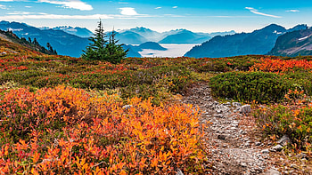 Fall on Ptarmigan Ridge, Washington, colors, clouds, landscape, autumn, trees, sky, usa HD wallpaper