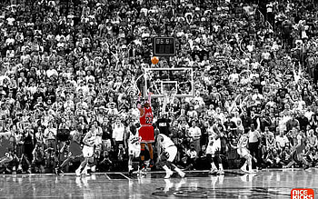 Sports nba basketball michael jordan selective coloring chicago . HD wallpaper