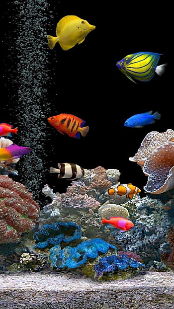 Mobiles resolutions: HD phone wallpaper