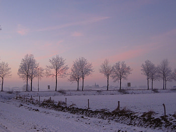 *** Winter ***, blue, winter, cold, beautiful, snow, red, trees, nature, sky, sunset HD wallpaper