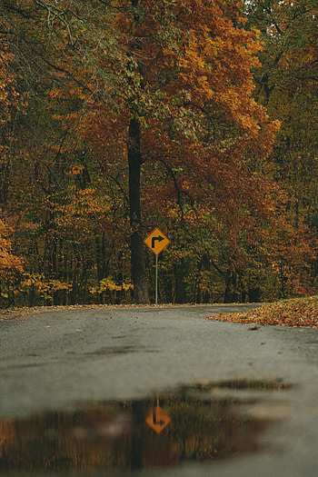 Nature, Trees, Autumn, Arrow, Forest, Sign HD phone wallpaper