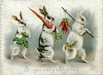 :), bunny, craciun, easter, card, three, rabbit, trio, vintage, christmas HD wallpaper