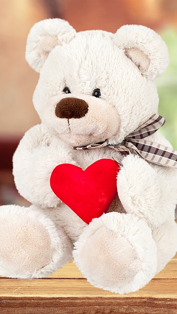 Teddy Wale, Red Heart, White Teddy HD phone wallpaper