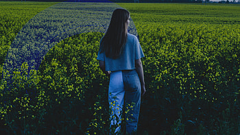 Girl In Field, girls, model, manipulation, field, graphy HD wallpaper