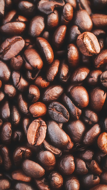 Coffee Beans, , Food HD phone wallpaper
