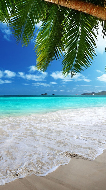 Honduras, Beach HD phone wallpaper