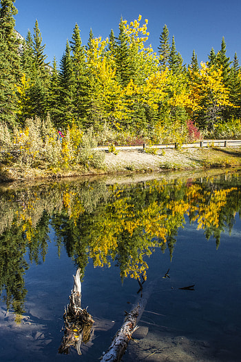 Nature, Water, Trees, Autumn, Lake, Reflection HD phone wallpaper