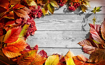 Happy Autumn!, wood, fall, red, autumn, leaf, card, berry, orange HD wallpaper