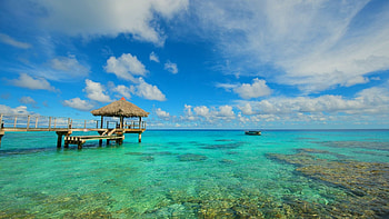 August Summer HD wallpaper