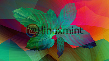 Linux Mint, Linux, Technology HD wallpaper