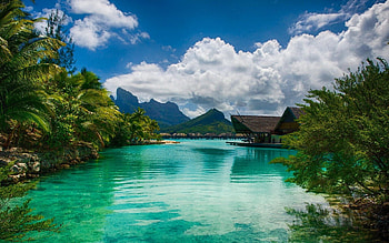 Bora Bora island, Intercontinental resort, Turquoise waters, Palm tree oasis HD wallpaper