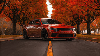 The Roar Of Speed Red Dodge Challenger, dodge-challenger, dodge, cars, muscle-cars HD wallpaper