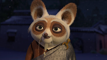 Master Shifu, Kung Fu Panda, Martial arts, Wisdom HD wallpaper