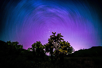 Landscape, starry sky, colorful, tree, nature HD wallpaper