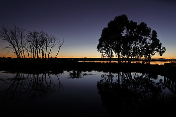 Twilight, Lake, Dark, Silhouette, Wood, Tree, Branches, Dusk HD wallpaper