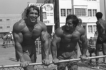 Arnold Schwarzenegger, Mr. Olympia champion, Inspiring , Bodybuilding greatness HD wallpaper