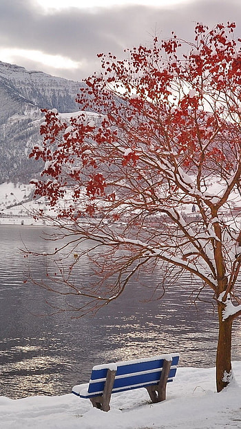 Romantic, water scenery HD phone wallpaper
