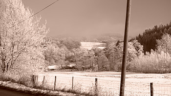 Winter Mood , winter, snow, landscape, trees, ice HD wallpaper