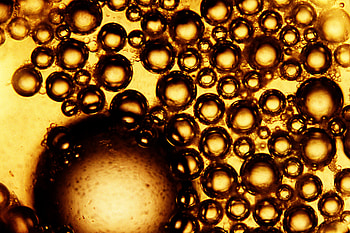 Bubbles, Macro, Texture, Liquid, Brown HD wallpaper