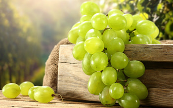 Green grapes, Refreshing treats, Captivating , Earthy tones HD wallpaper