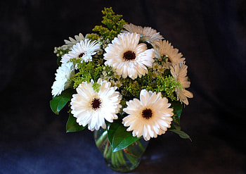 Flowers, Gerberas, Greens, Bouquet, Vase HD wallpaper