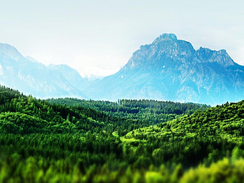 Field, landscape, grass, mountain HD wallpaper