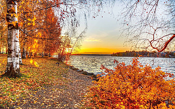Riverside travels, Riverside autumn day, riverside autumn, fall deadpool HD wallpaper