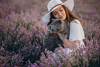 Lady and Cat, lady, model, pretty, female HD wallpaper