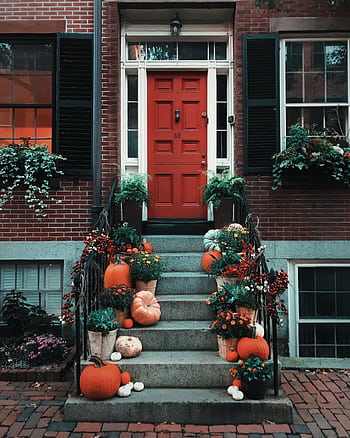 Festive autumn decorations with pumpkins and greenery on a Boston doorstep. HD phone wallpaper