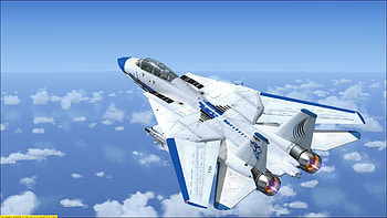 F 14 Tomcat FSX, burn, f-22, f22, military, sky HD wallpaper
