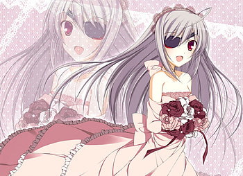 Infinite Stratos, bouquet, harem, anime, mecha, ecchi, wedding dress, manga HD wallpaper