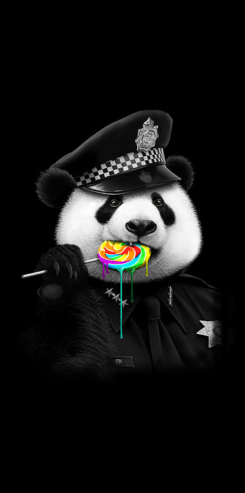 Panda, art, fur HD phone wallpaper