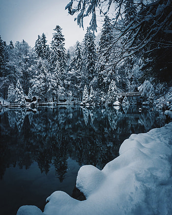 Winter, Nature, Snow, Lake, Branches, Snow Covered, Snowbound HD phone wallpaper