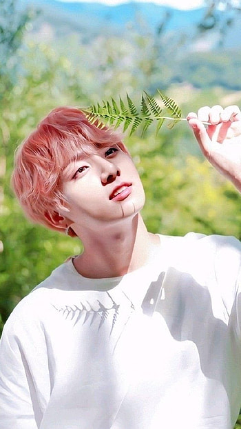 Bts Aesthetic, Nature Background HD phone wallpaper
