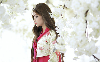 Asian Beauty, outdoor, cherry blossom, girl, beauty HD wallpaper