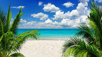 Tropical Paradise, sea, sky, sand, palm trees, clouds HD wallpaper