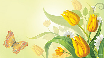 Tulips of Gold, soft, tulips, spring, daisies, fade, butterfly, daisy, yellow, blur HD wallpaper