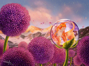 Allium fish by Tara Howard, tara howard, orange, summer, pink, goldenfish, fantasy, flower, pesti, fish, luminos, allium, vara HD wallpaper