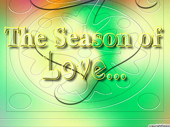 The season of love, colors, love HD wallpaper