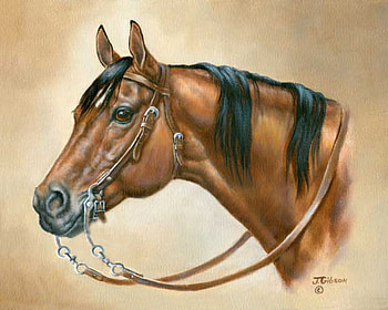 By Judy Gibson, animal, horse, painting, art, judy gibson HD wallpaper