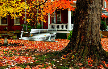 House, , Swing, Fall, Leaf HD wallpaper