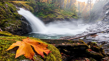 Falls of the Pacific Northwest, Mt. Baker-Snoqualmie National Forest, usa, washington, river, leaves, fall, colors, rocks HD wallpaper
